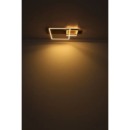 Globo 67289D1 - LED stropna svjetiljka VANNI LED/24W/230V 40x75 cm smeđa/crna