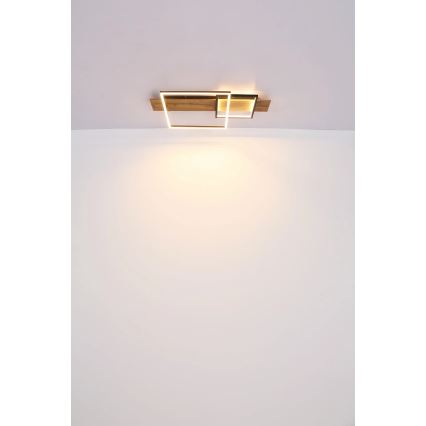 Globo 67289D1 - LED stropna svjetiljka VANNI LED/24W/230V 40x75 cm smeđa/crna