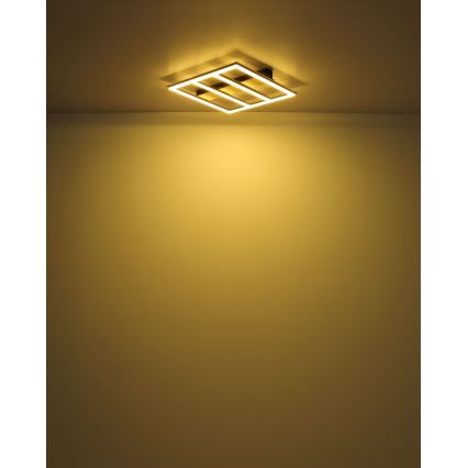 Globo - LED Stropna svjetiljka LED/18W/230V 3000K 30x30 cm