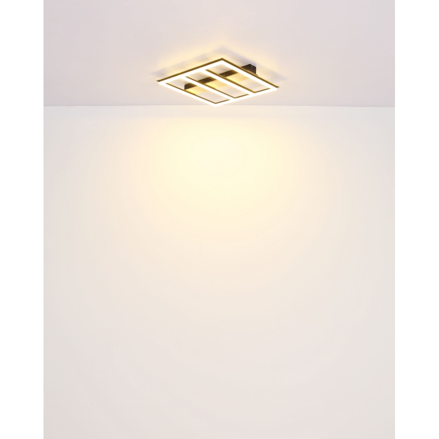 Globo - LED Stropna svjetiljka LED/18W/230V 3000K 30x30 cm