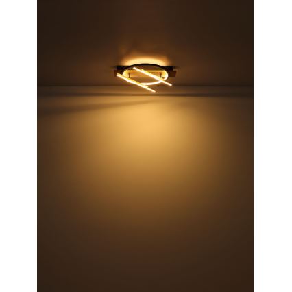 Globo - LED Stropna svjetiljka LED/32W/230V