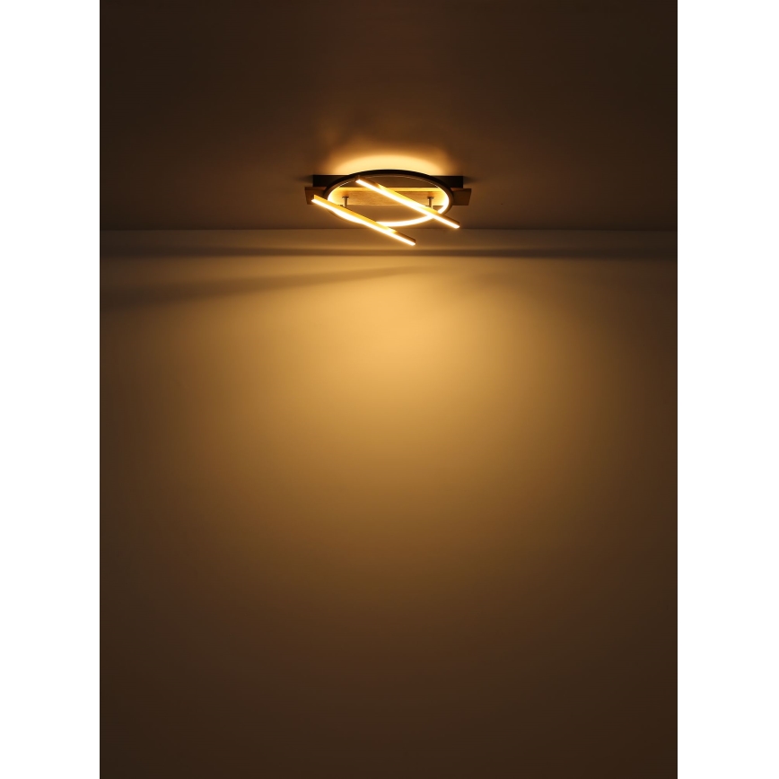 Globo - LED Stropna svjetiljka LED/32W/230V