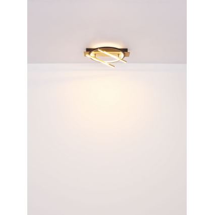 Globo - LED Stropna svjetiljka LED/32W/230V