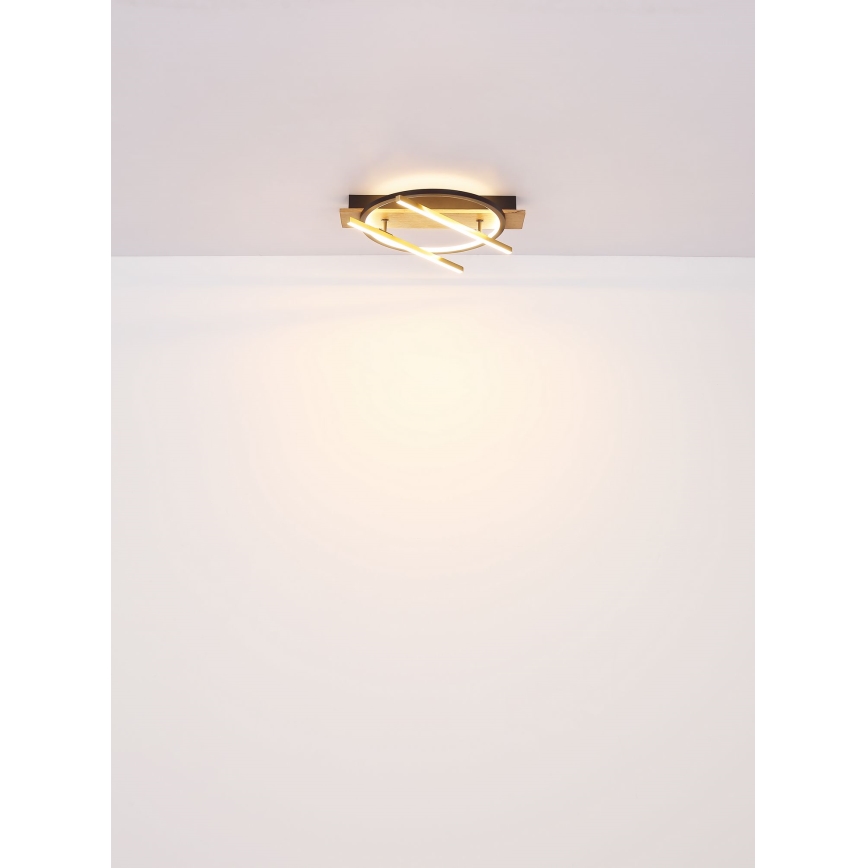 Globo - LED Stropna svjetiljka LED/32W/230V