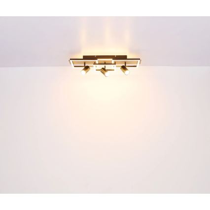 Globo - LED stropna svjetiljka LED/48W/230V + 3xGU10/5W 3000K 27x72 cm