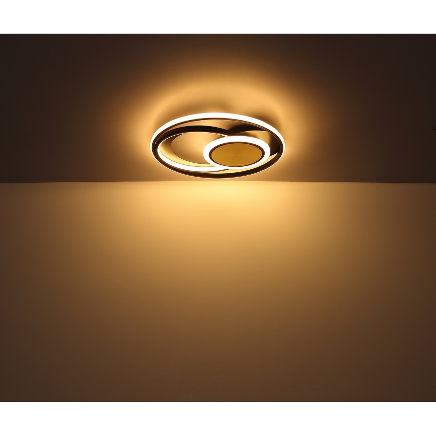 Globo - LED Stropna svjetiljka LED/24W/230V