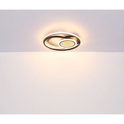 Globo - LED Stropna svjetiljka LED/24W/230V