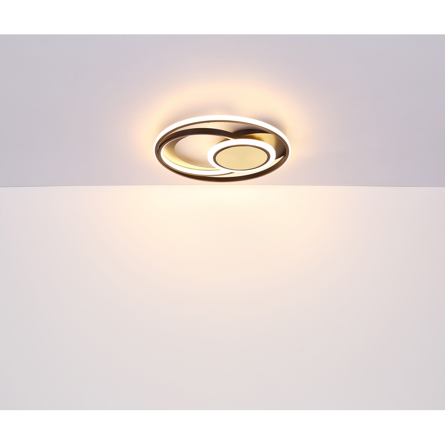 Globo - LED Stropna svjetiljka LED/24W/230V