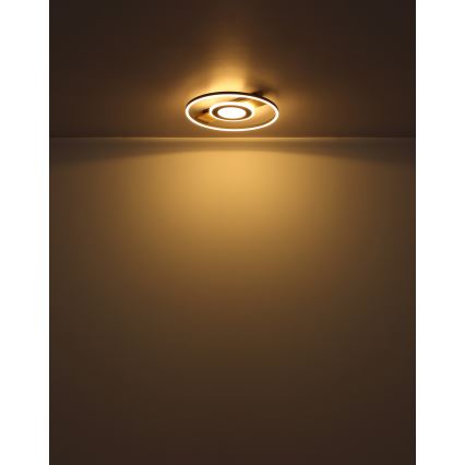 Globo - LED Stropna svjetiljka LED/24W/230V