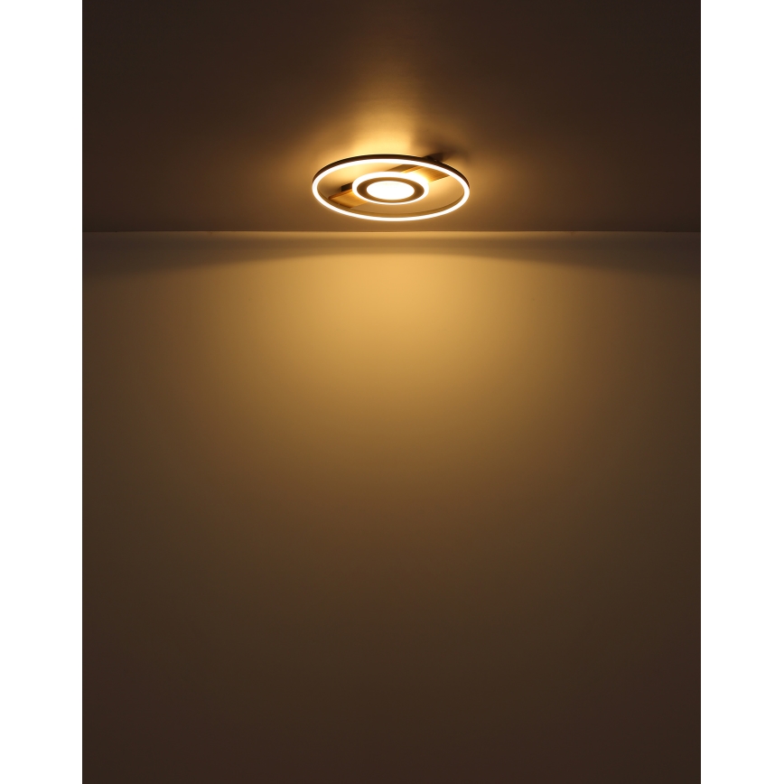 Globo - LED Stropna svjetiljka LED/24W/230V