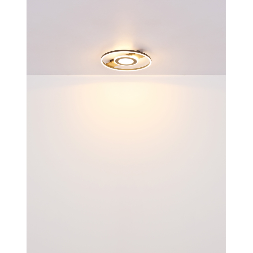 Globo - LED Stropna svjetiljka LED/24W/230V