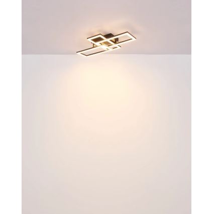 Globo - LED Stropna svjetiljka LED/24W/230V