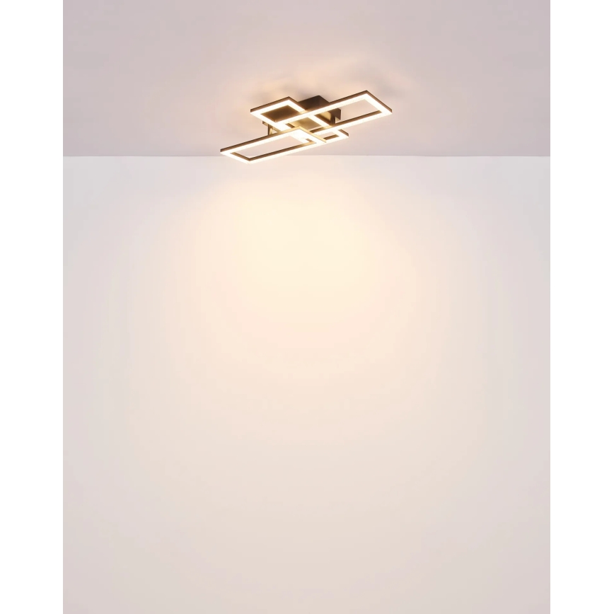 Globo - LED Stropna svjetiljka LED/24W/230V
