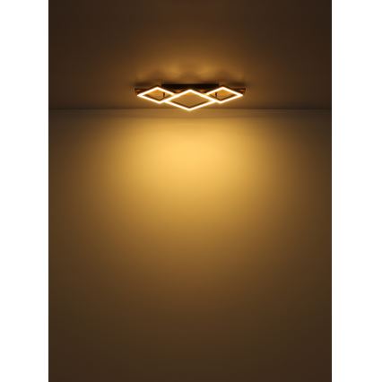 Globo - LED Stropna svjetiljka LED/24W/230V