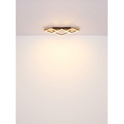 Globo - LED Stropna svjetiljka LED/24W/230V