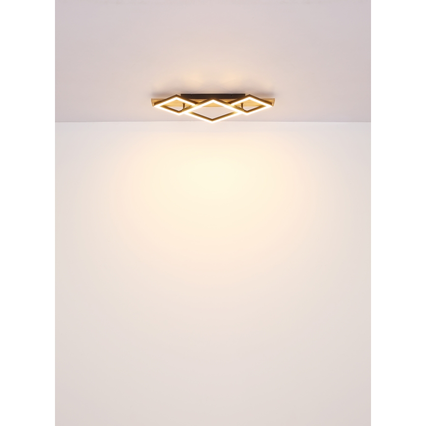 Globo - LED Stropna svjetiljka LED/24W/230V