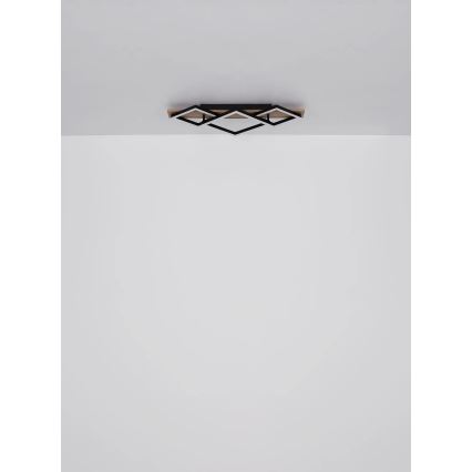 Globo - LED Stropna svjetiljka LED/24W/230V