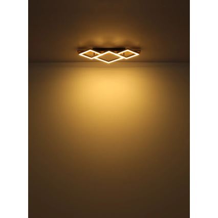 Globo - LED Stropna svjetiljka LED/24W/230V