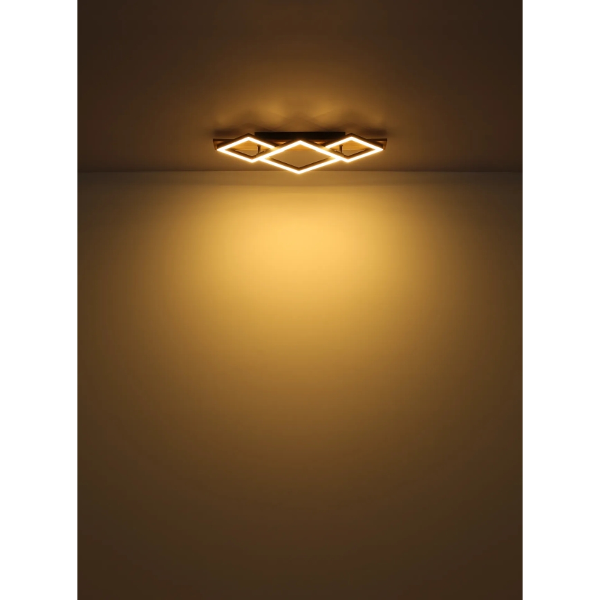 Globo - LED Stropna svjetiljka LED/24W/230V