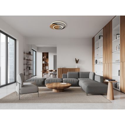 Globo - LED Stropna svjetiljka LED/24W/230V crna