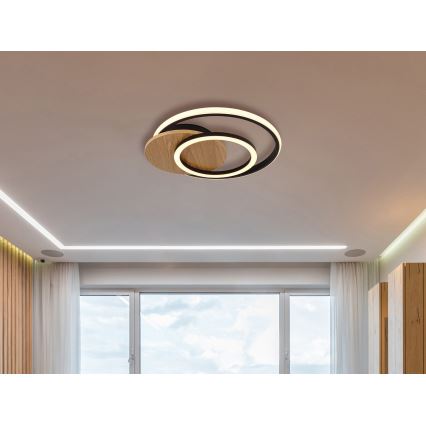 Globo - LED Stropna svjetiljka LED/24W/230V crna