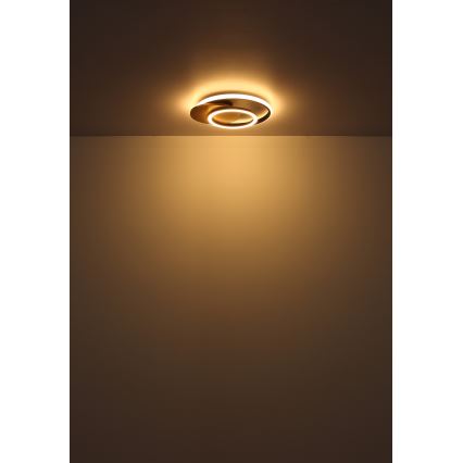 Globo - LED Stropna svjetiljka LED/24W/230V crna