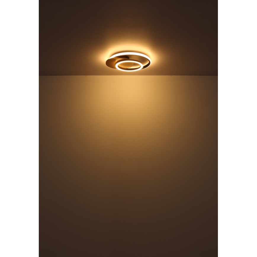 Globo - LED Stropna svjetiljka LED/24W/230V crna