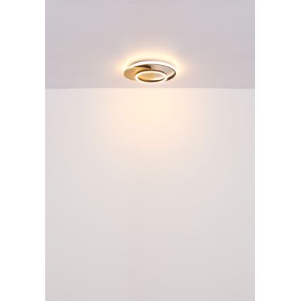 Globo - LED Stropna svjetiljka LED/24W/230V crna