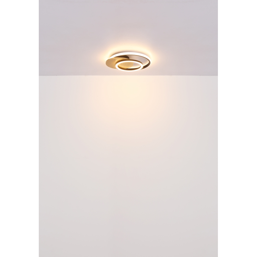 Globo - LED Stropna svjetiljka LED/24W/230V crna