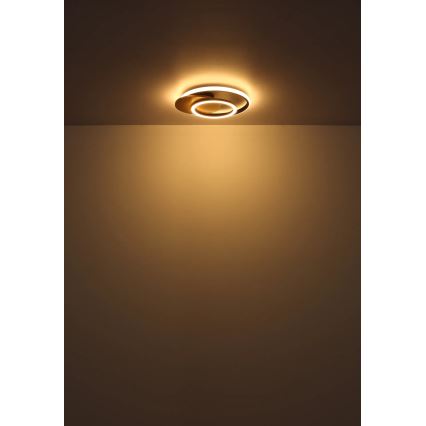 Globo - LED Stropna svjetiljka LED/24W/230V