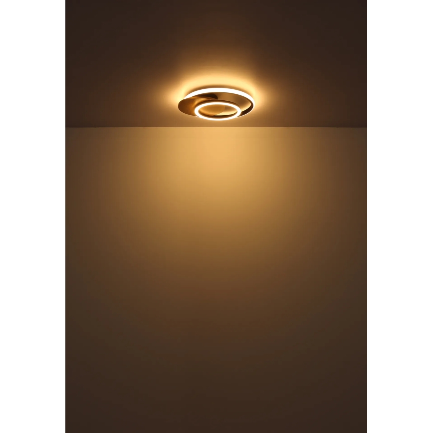 Globo - LED Stropna svjetiljka LED/24W/230V