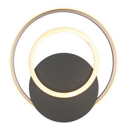 Globo - LED Stropna svjetiljka LED/24W/230V