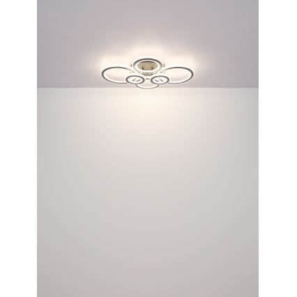 Globo - LED Prigušiva stropna svjetiljka LED/60W/230V 2700-6000K 56x78 cm antracit + daljinski upravljač