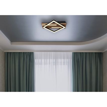 Globo - LED Stropna svjetiljka LED/19W/230V 3000K 31x33 cm