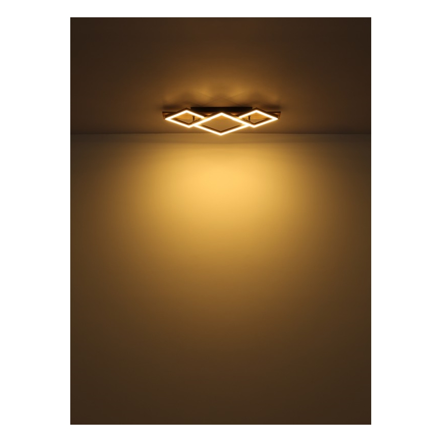 Globo - LED Stropna svjetiljka LED/32W/230V 3000K 31x61cm