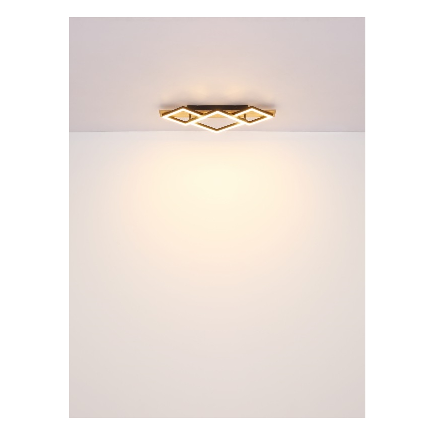 Globo - LED Stropna svjetiljka LED/32W/230V 3000K 31x61cm