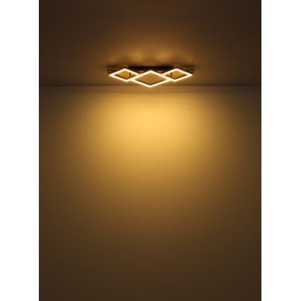 Globo - LED stropna svjetiljka LED/24W/230V + LED/8W 3000K 31x61cm