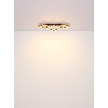 Globo - LED stropna svjetiljka LED/24W/230V + LED/8W 3000K 31x61cm