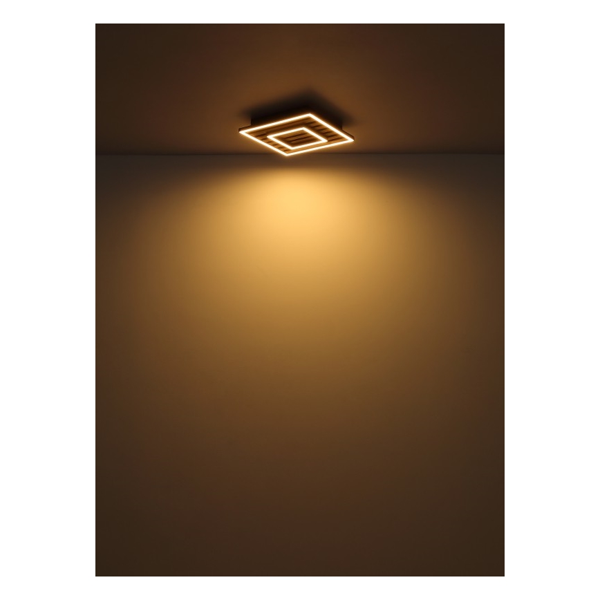 Globo - LED Stropna svjetiljka LED/18W/230V 3000K 30x30 cm