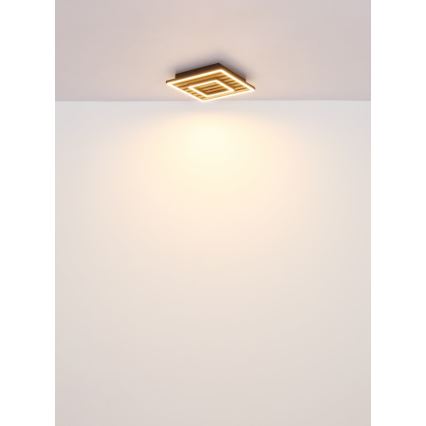 Globo - LED Stropna svjetiljka LED/18W/230V 3000K 30x30 cm