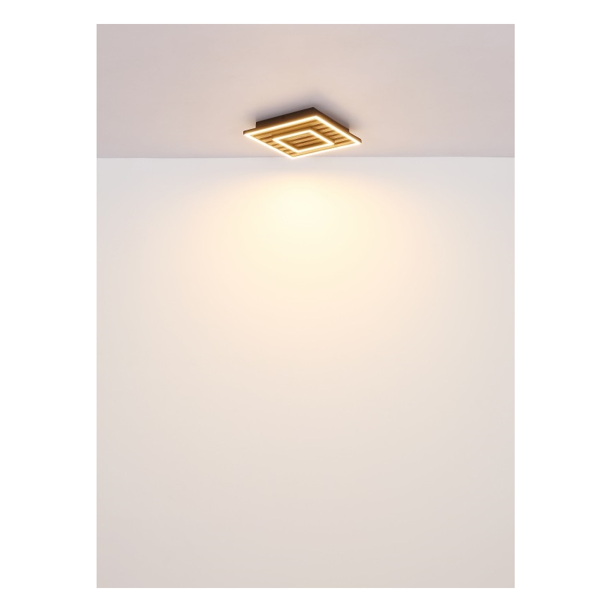 Globo - LED Stropna svjetiljka LED/18W/230V 3000K 30x30 cm