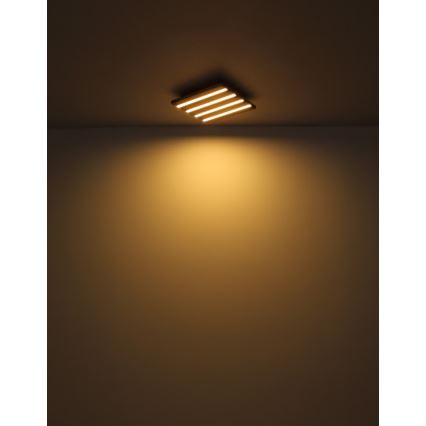 Globo - LED stropna svjetiljka LED/15W/230V 3000K 30x30 cm