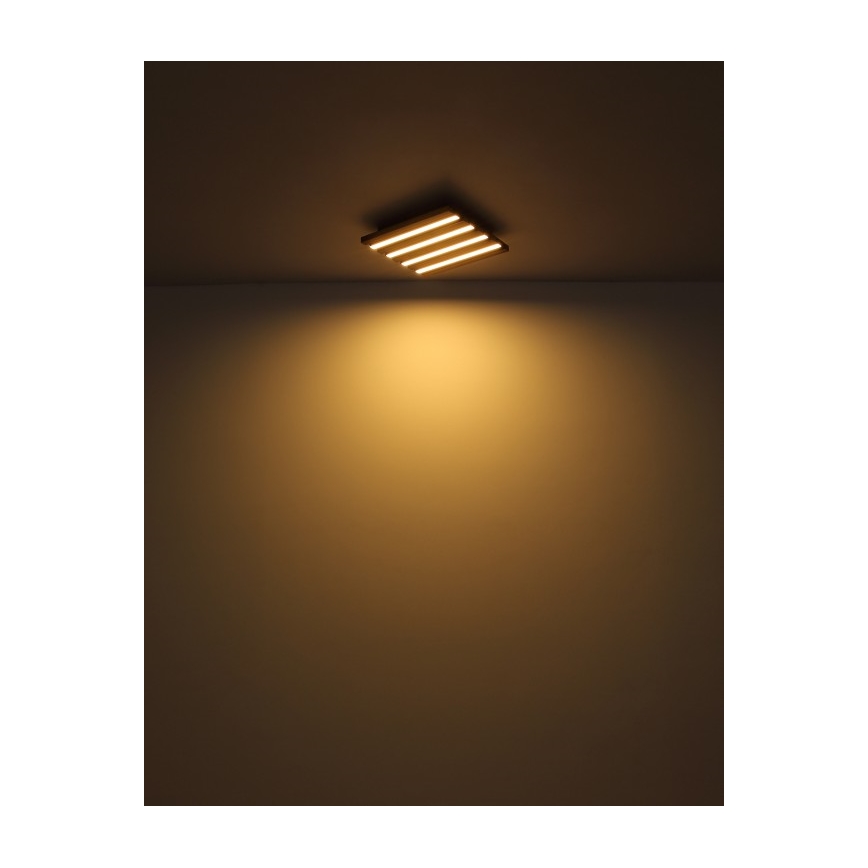 Globo - LED stropna svjetiljka LED/15W/230V 3000K 30x30 cm
