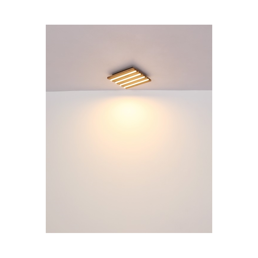 Globo - LED stropna svjetiljka LED/15W/230V 3000K 30x30 cm