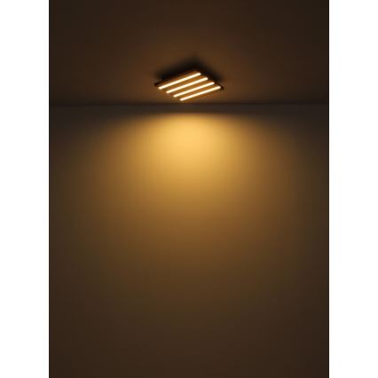 Globo - LED Stropna svjetiljka LED/30W/230V 3000K 45x45 cm drvo