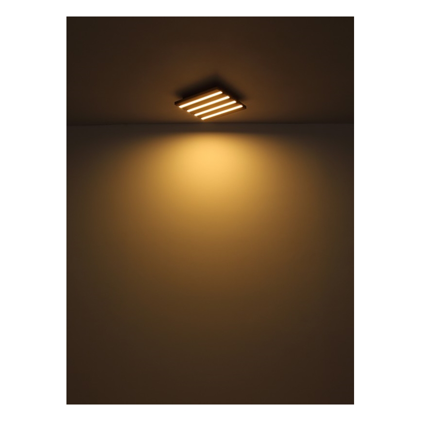 Globo - LED Stropna svjetiljka LED/30W/230V 3000K 45x45 cm drvo