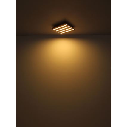 Globo - LED Stropna svjetiljka LED/30W/230V 3000K 80x20 cm drvo