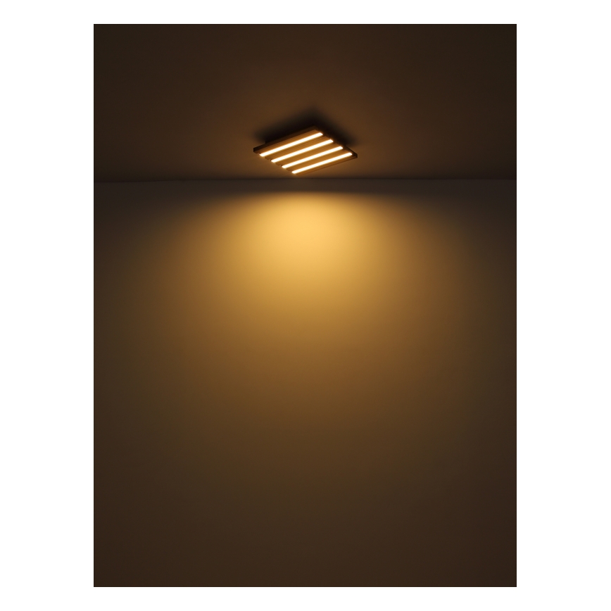 Globo - LED Stropna svjetiljka LED/30W/230V 3000K 80x20 cm drvo