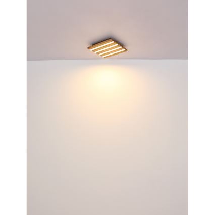 Globo - LED Stropna svjetiljka LED/30W/230V 3000K 80x20 cm drvo