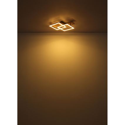 Globo - LED Stropna svjetiljka LED/16W/230V 3000K 33x44 cm